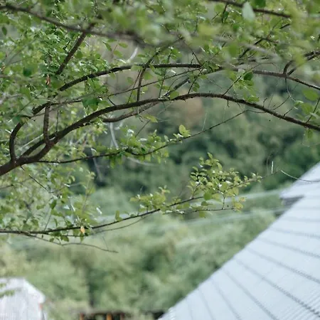 Chalet над потоком