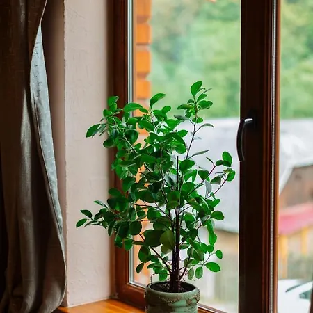 Chalet над потоком Lumshory