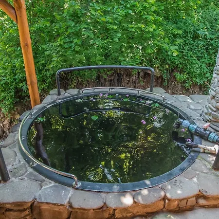 Chalet над потоком